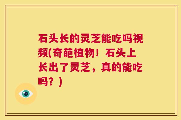 石头长的灵芝能吃吗视频(奇葩植物！石头上长出了灵芝，真的能吃吗？)  第1张