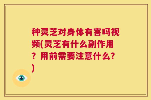 种灵芝对身体有害吗视频(灵芝有什么副作用？用前需要注意什么？)  第1张