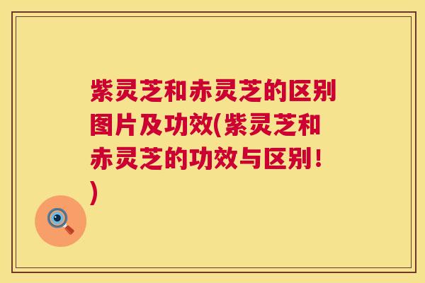 紫灵芝和赤灵芝的区别图片及功效(紫灵芝和赤灵芝的功效与区别!) 第1张 紫灵芝和赤灵芝的区别图片及功效(紫灵芝和赤灵芝的功效与区别!) 第1张