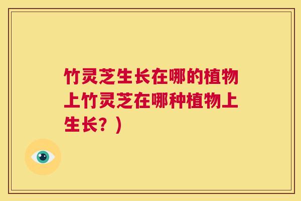 竹灵芝生长在哪的植物上竹灵芝在哪种植物上生长?) 第1张 竹灵芝生长在哪的植物上竹灵芝在哪种植物上生长?) 第1张