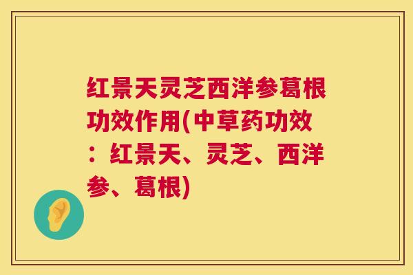 红景天灵芝西洋参葛根功效作用(中草药功效:红景天、灵芝、西洋参、葛根) 第1张 红景天灵芝西洋参葛根功效作用(中草药功效:红景天、灵芝、西洋参、葛根) 第1张