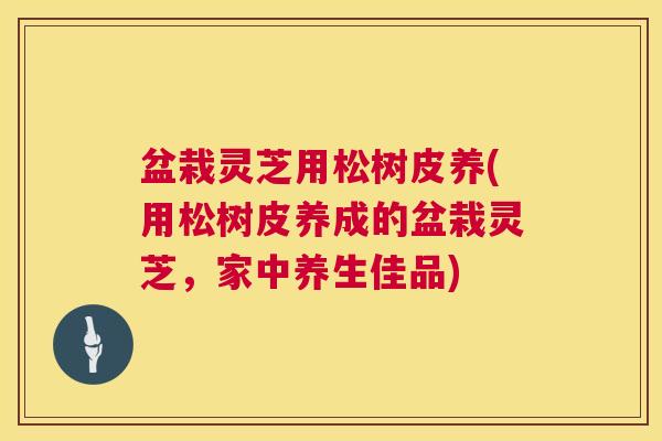 盆栽灵芝用松树皮养(用松树皮养成的盆栽灵芝,家中养生佳品) 第1张 盆栽灵芝用松树皮养(用松树皮养成的盆栽灵芝,家中养生佳品) 第1张