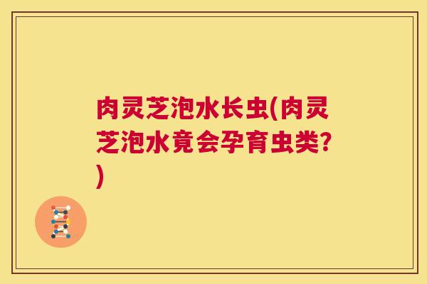 肉灵芝泡水长虫(肉灵芝泡水竟会孕育虫类?) 第1张 肉灵芝泡水长虫(肉灵芝泡水竟会孕育虫类?) 第1张