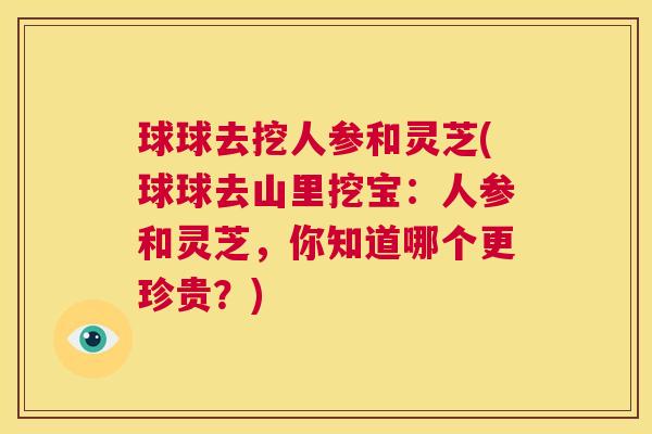 球球去挖人参和灵芝(球球去山里挖宝：人参和灵芝，你知道哪个更珍贵？)  第1张