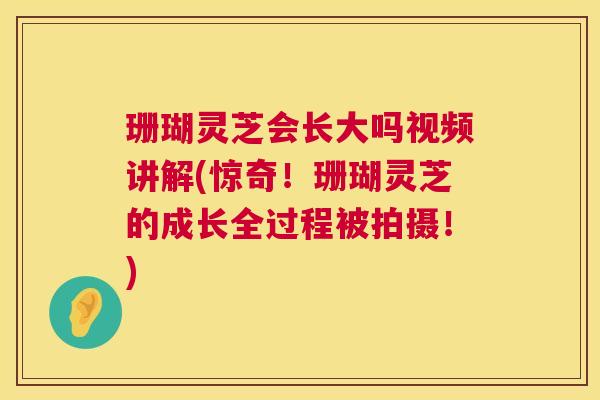 珊瑚灵芝会长大吗视频讲解(惊奇!珊瑚灵芝的成长全过程被拍摄!) 第1张 珊瑚灵芝会长大吗视频讲解(惊奇!珊瑚灵芝的成长全过程被拍摄!) 第1张