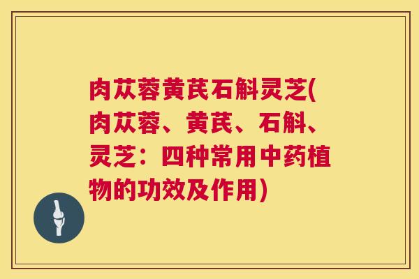 肉苁蓉黄芪石斛灵芝(肉苁蓉、黄芪、石斛、灵芝:四种常用中药植物的功效及作用) 第1张 肉苁蓉黄芪石斛灵芝(肉苁蓉、黄芪、石斛、灵芝:四种常用中药植物的功效及作用) 第1张