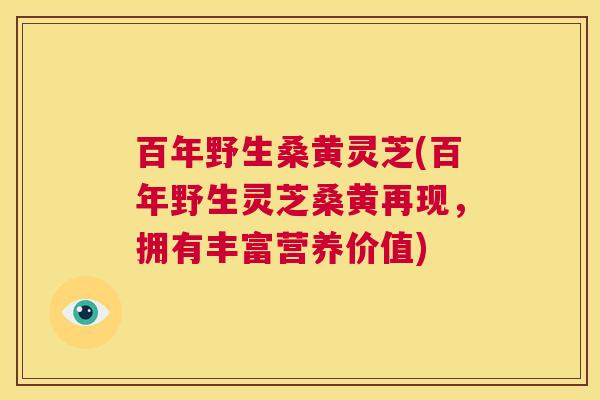 百年野生桑黄灵芝(百年野生灵芝桑黄再现,拥有丰富营养价值) 第1张 百年野生桑黄灵芝(百年野生灵芝桑黄再现,拥有丰富营养价值) 第1张
