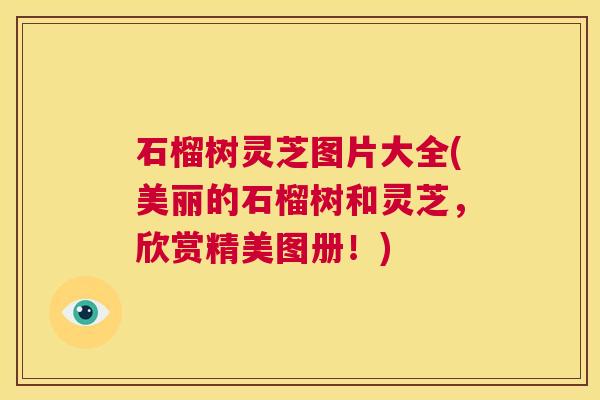 石榴树灵芝图片大全(美丽的石榴树和灵芝，欣赏精美图册！)  第1张