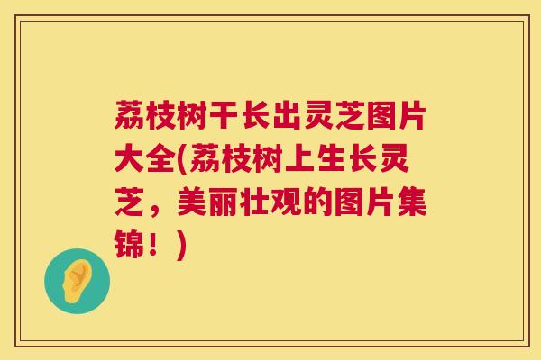 荔枝树干长出灵芝图片大全(荔枝树上生长灵芝,美丽壮观的图片集锦!) 第1张 荔枝树干长出灵芝图片大全(荔枝树上生长灵芝,美丽壮观的图片集锦!) 第1张