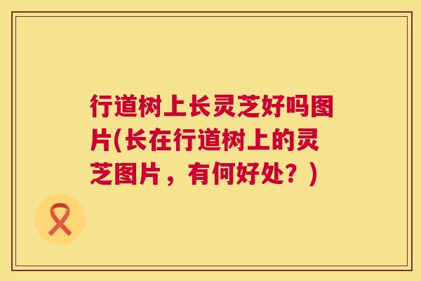 行道树上长灵芝好吗图片(长在行道树上的灵芝图片,有何好处?) 第1张 行道树上长灵芝好吗图片(长在行道树上的灵芝图片,有何好处?) 第1张