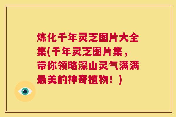 炼化千年灵芝图片大全集(千年灵芝图片集，带你领略深山灵气满满最美的神奇植物！)  第1张