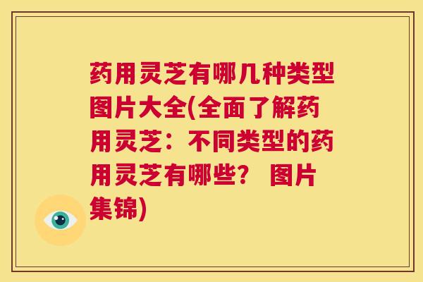 药用灵芝有哪几种类型图片大全(全面了解药用灵芝:不同类型的药用灵芝有哪些? 图片集锦) 第1张 药用灵芝有哪几种类型图片大全(全面了解药用灵芝:不同类型的药用灵芝有哪些? 图片集锦) 第1张