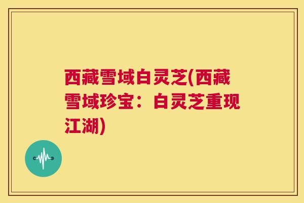 西藏雪域白灵芝(西藏雪域珍宝：白灵芝重现江湖)  第1张