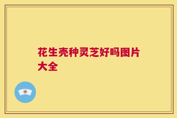 花生壳种灵芝好吗图片大全 第1张 花生壳种灵芝好吗图片大全 第1张