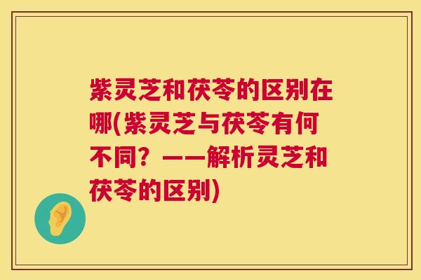 紫灵芝和茯苓的区别在哪(紫灵芝与茯苓有何不同?——解析灵芝和茯苓的区别) 第1张 紫灵芝和茯苓的区别在哪(紫灵芝与茯苓有何不同?——解析灵芝和茯苓的区别) 第1张