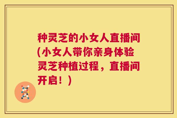 种灵芝的小女人直播间(小女人带你亲身体验灵芝种植过程,直播间开启!) 第1张 种灵芝的小女人直播间(小女人带你亲身体验灵芝种植过程,直播间开启!) 第1张