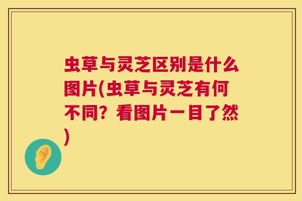 虫草与灵芝区别是什么图片(虫草与灵芝有何不同?看图片一目了然) 第1张 虫草与灵芝区别是什么图片(虫草与灵芝有何不同?看图片一目了然) 第1张