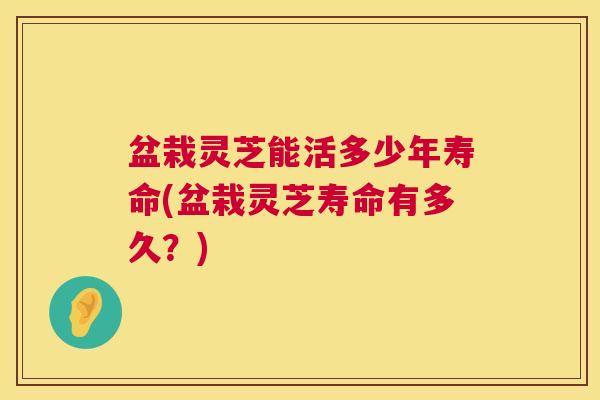 盆栽灵芝能活多少年寿命(盆栽灵芝寿命有多久?) 第1张 盆栽灵芝能活多少年寿命(盆栽灵芝寿命有多久?) 第1张