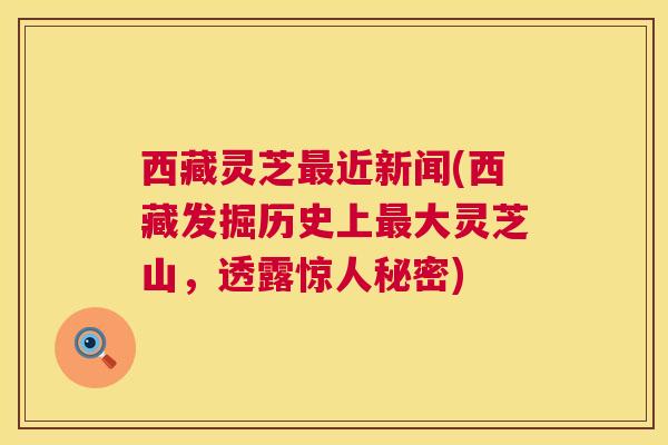 西藏灵芝最近新闻(西藏发掘历史上最大灵芝山,透露惊人秘密) 第1张 西藏灵芝最近新闻(西藏发掘历史上最大灵芝山,透露惊人秘密) 第1张