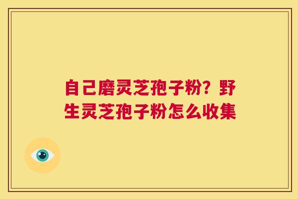 自己磨灵芝孢子粉？野生灵芝孢子粉怎么收集  第1张