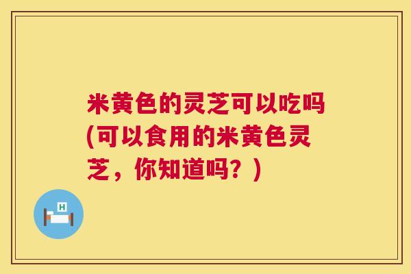 米黄色的灵芝可以吃吗(可以食用的米黄色灵芝,你知道吗?) 第1张 米黄色的灵芝可以吃吗(可以食用的米黄色灵芝,你知道吗?) 第1张