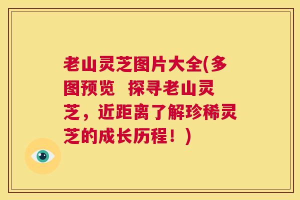 老山灵芝图片大全(多图预览 探寻老山灵芝,近距离了解珍稀灵芝的成长历程!) 第1张 老山灵芝图片大全(多图预览 探寻老山灵芝,近距离了解珍稀灵芝的成长历程!) 第1张