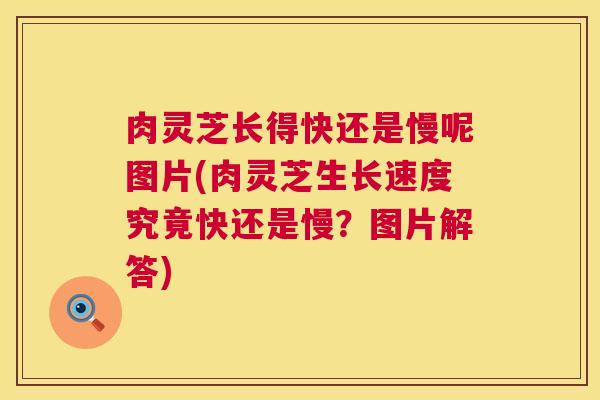 肉灵芝长得快还是慢呢图片(肉灵芝生长速度究竟快还是慢？图片解答)  第1张