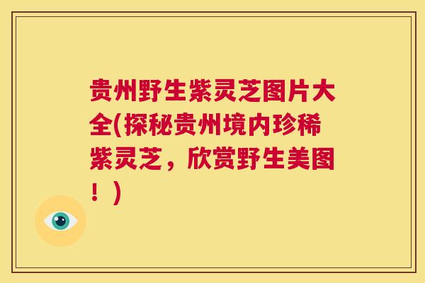 贵州野生紫灵芝图片大全(探秘贵州境内珍稀紫灵芝,欣赏野生美图!) 第1张 贵州野生紫灵芝图片大全(探秘贵州境内珍稀紫灵芝,欣赏野生美图!) 第1张