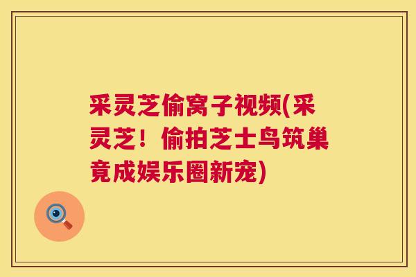 采灵芝偷窝子视频(采灵芝！偷拍芝士鸟筑巢竟成娱乐圈新宠)  第1张
