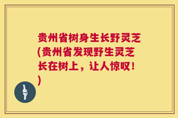 贵州省树身生长野灵芝(贵州省发现野生灵芝长在树上,让人惊叹!) 第1张 贵州省树身生长野灵芝(贵州省发现野生灵芝长在树上,让人惊叹!) 第1张