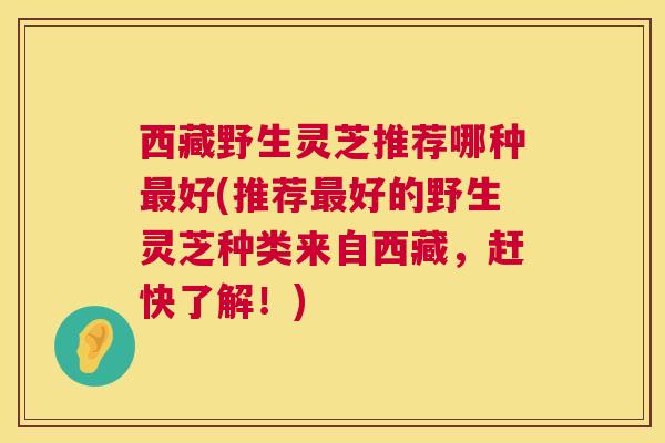 西藏野生灵芝推荐哪种最好(推荐最好的野生灵芝种类来自西藏,赶快了解!) 第1张 西藏野生灵芝推荐哪种最好(推荐最好的野生灵芝种类来自西藏,赶快了解!) 第1张