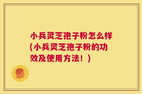 小兵灵芝孢子粉怎么样(小兵灵芝孢子粉的功效及使用方法！)  第1张