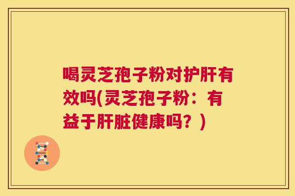 喝灵芝孢子粉对护肝有效吗(灵芝孢子粉：有益于肝脏健康吗？)  第1张