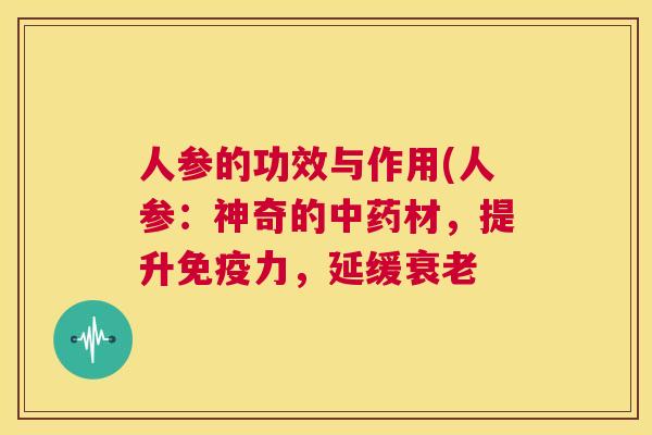 人参的功效与作用(人参:神奇的中药材,提升免疫力,延缓衰老 第1张 人参的功效与作用(人参:神奇的中药材,提升免疫力,延缓衰老 第1张
