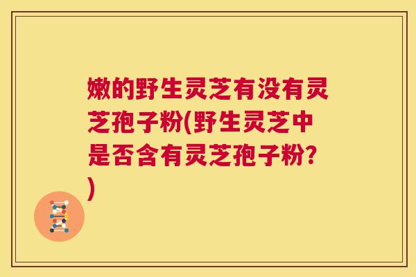 嫩的野生灵芝有没有灵芝孢子粉(野生灵芝中是否含有灵芝孢子粉?) 第1张 嫩的野生灵芝有没有灵芝孢子粉(野生灵芝中是否含有灵芝孢子粉?) 第1张