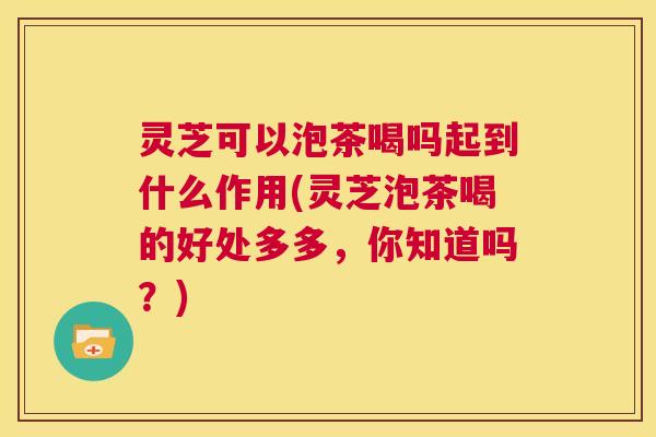 灵芝可以泡茶喝吗起到什么作用(灵芝泡茶喝的好处多多,你知道吗?) 第1张 灵芝可以泡茶喝吗起到什么作用(灵芝泡茶喝的好处多多,你知道吗?) 第1张