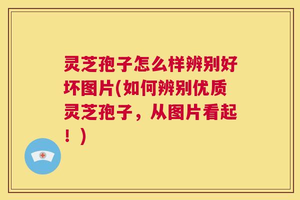 灵芝孢子怎么样辨别好坏图片(如何辨别优质灵芝孢子,从图片看起!) 第1张 灵芝孢子怎么样辨别好坏图片(如何辨别优质灵芝孢子,从图片看起!) 第1张