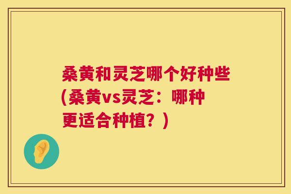 桑黄和灵芝哪个好种些(桑黄vs灵芝:哪种更适合种植?) 第1张 桑黄和灵芝哪个好种些(桑黄vs灵芝:哪种更适合种植?) 第1张