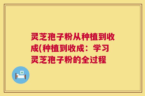 灵芝孢子粉从种植到收成(种植到收成：学习灵芝孢子粉的全过程  第1张
