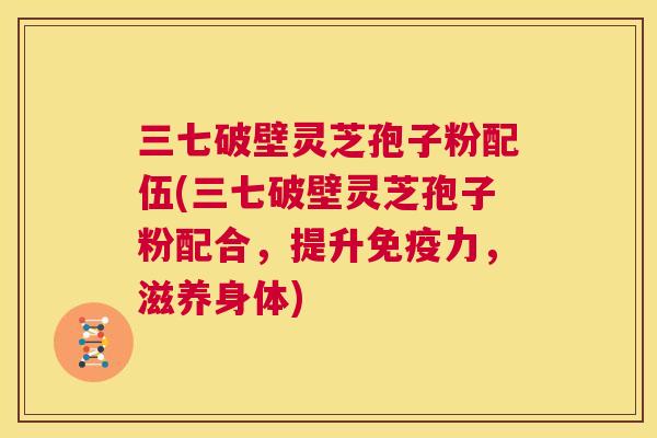 三七破壁灵芝孢子粉配伍(三七破壁灵芝孢子粉配合，提升免疫力，滋养身体)  第1张