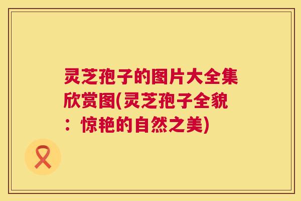 灵芝孢子的图片大全集欣赏图(灵芝孢子全貌:惊艳的自然之美) 第1张 灵芝孢子的图片大全集欣赏图(灵芝孢子全貌:惊艳的自然之美) 第1张