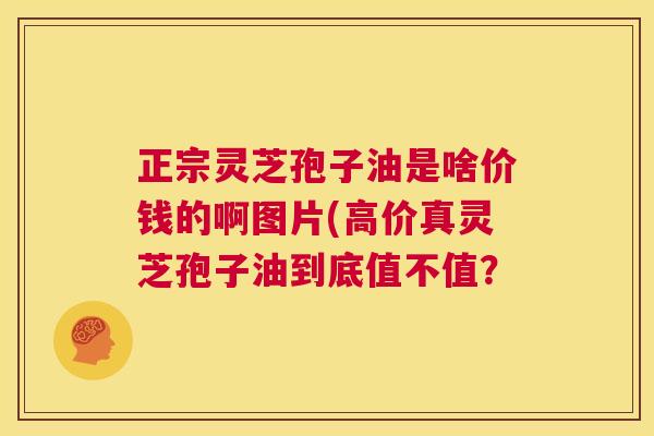 正宗灵芝孢子油是啥价钱的啊图片(高价真灵芝孢子油到底值不值? 第1张 正宗灵芝孢子油是啥价钱的啊图片(高价真灵芝孢子油到底值不值? 第1张
