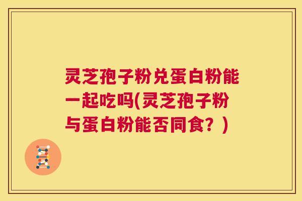 灵芝孢子粉兑蛋白粉能一起吃吗(灵芝孢子粉与蛋白粉能否同食?) 第1张 灵芝孢子粉兑蛋白粉能一起吃吗(灵芝孢子粉与蛋白粉能否同食?) 第1张