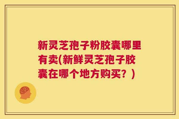 新灵芝孢子粉胶囊哪里有卖(新鲜灵芝孢子胶囊在哪个地方购买?) 第1张 新灵芝孢子粉胶囊哪里有卖(新鲜灵芝孢子胶囊在哪个地方购买?) 第1张