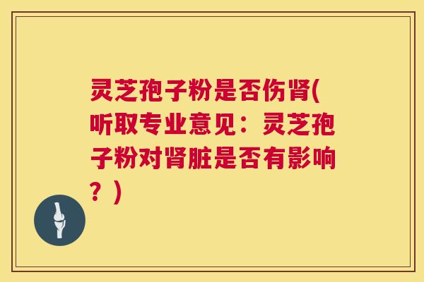 灵芝孢子粉是否伤肾(听取专业意见:灵芝孢子粉对肾脏是否有影响?) 第1张 灵芝孢子粉是否伤肾(听取专业意见:灵芝孢子粉对肾脏是否有影响?) 第1张