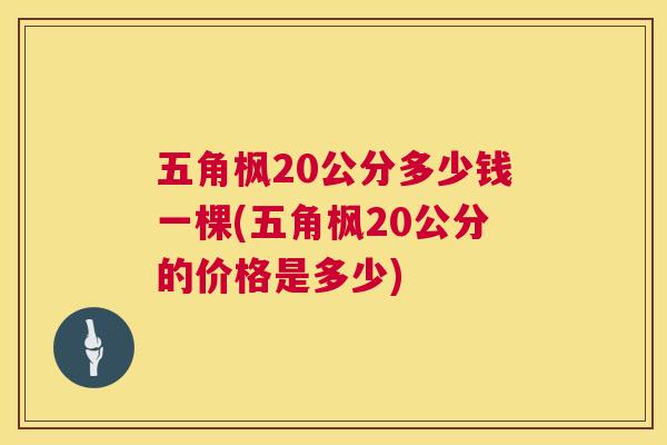 五角枫20公分多少钱一棵(五角枫20公分的价格是多少) 第1张 五角枫20公分多少钱一棵(五角枫20公分的价格是多少) 第1张