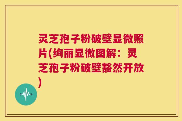 灵芝孢子粉破壁显微照片(绚丽显微图解:灵芝孢子粉破壁豁然开放) 第1张 灵芝孢子粉破壁显微照片(绚丽显微图解:灵芝孢子粉破壁豁然开放) 第1张