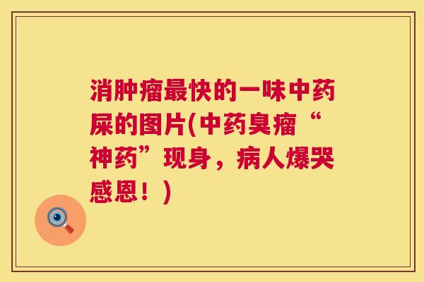 消肿瘤最快的一味中药屎的图片(中药臭瘤“神药”现身，病人爆哭感恩！)  第1张