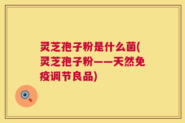 灵芝孢子粉是什么菌(灵芝孢子粉——天然免疫调节良品)  第1张