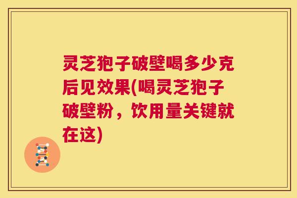 灵芝狍子破壁喝多少克后见效果(喝灵芝狍子破壁粉,饮用量关键就在这) 第1张 灵芝狍子破壁喝多少克后见效果(喝灵芝狍子破壁粉,饮用量关键就在这) 第1张